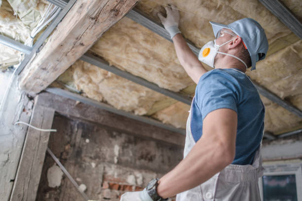 Best Insulation Installation Services in Vass, NC